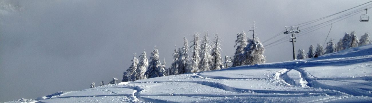 Enfants en ski sur les pistes de La Colmiane